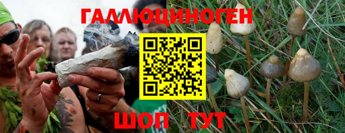 ГАШИШ  NBOMe  LSD-25  Каннабис  Магазин наркотиков  COCAIN  Екатеринбург  ГАШИШ  Вход с VPN  МЕФ  
