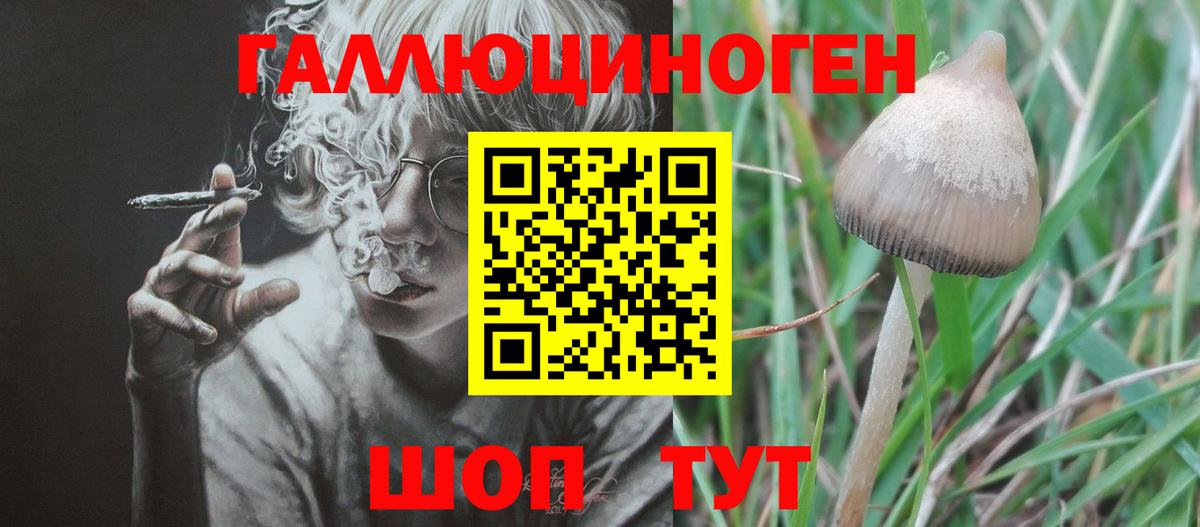 Екатеринбург  Псилоцибиновые грибы мицелий  Вход с VPN 